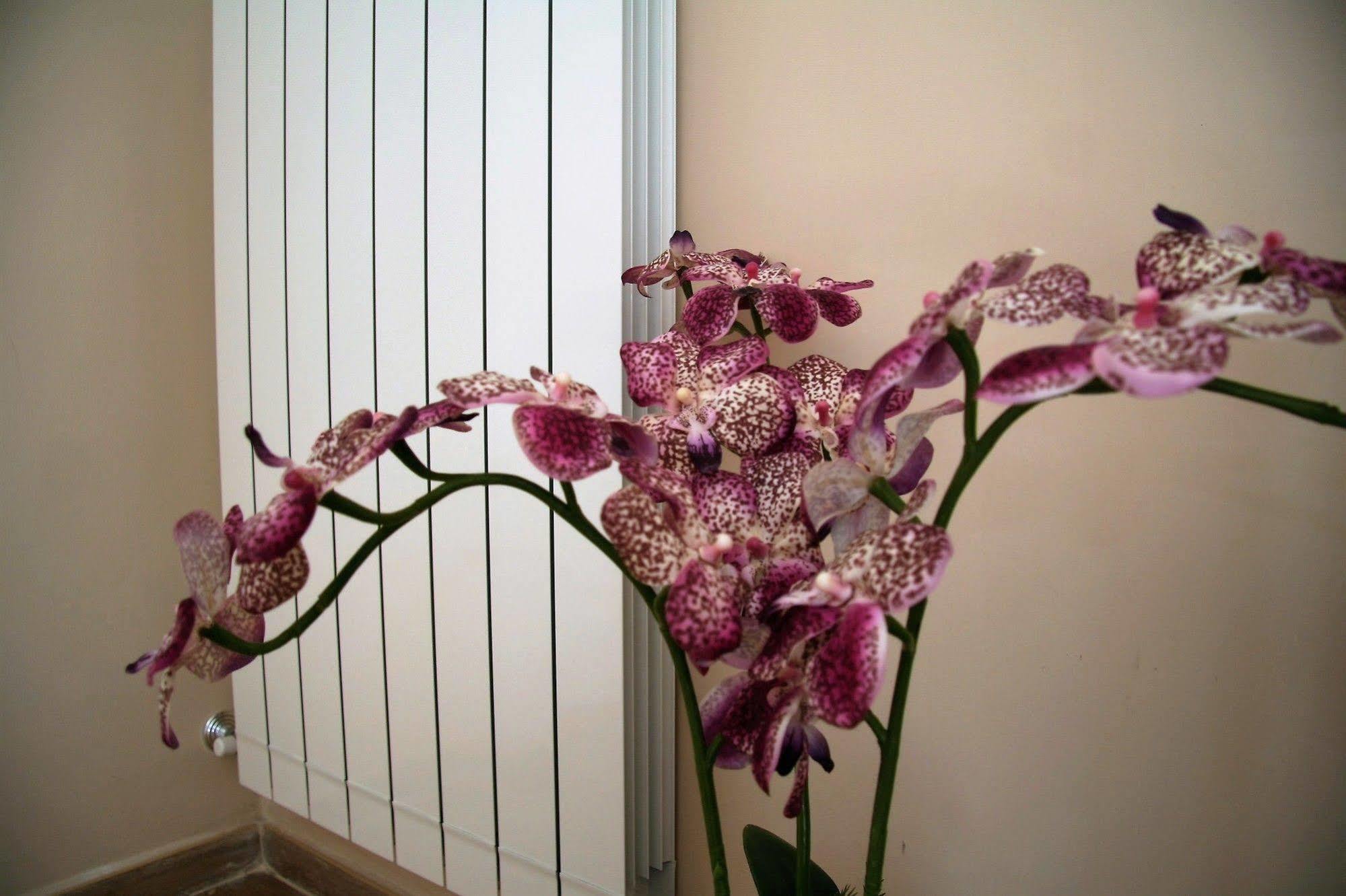 B&B Giacomino Sorrento Luaran gambar